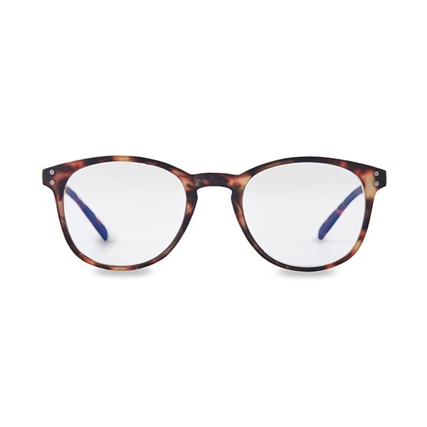 PEGASO BS Carey Wild Brown  Gafas